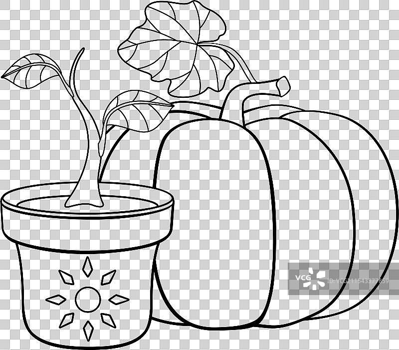 大南瓜和花盆里的幼苗图片素材