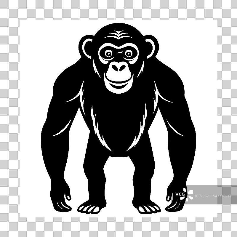 一只站着的黑猩猩图片素材