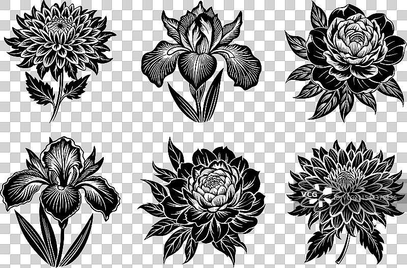 牡丹、菊花、鸢尾花图标艺术图片素材