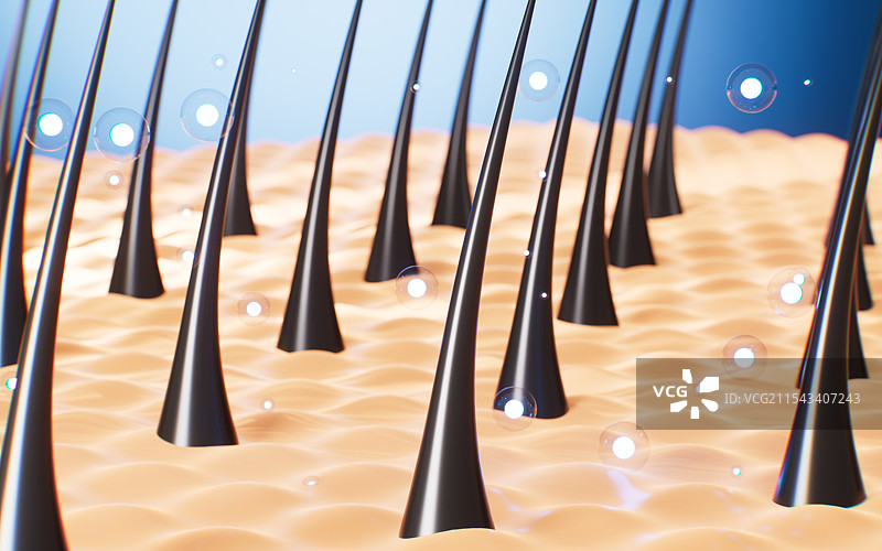 头发与头皮组织头发滋养概念3D渲染图片素材