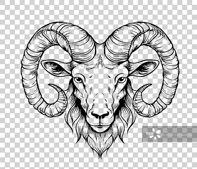 手绘风格的羊头素描涂鸦图片素材