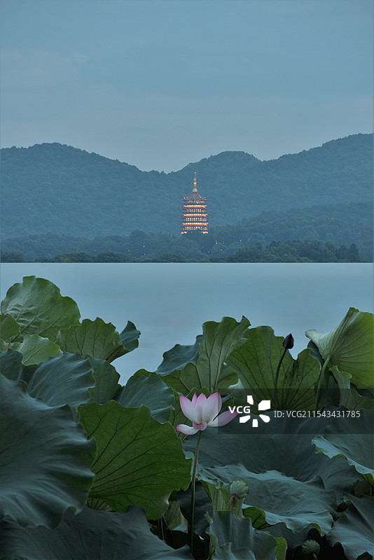 傍晚 雷峰塔图片素材