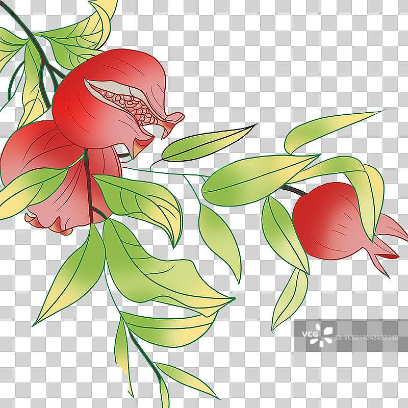 石榴树图片素材