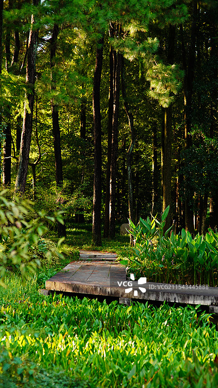 公园一角图片素材