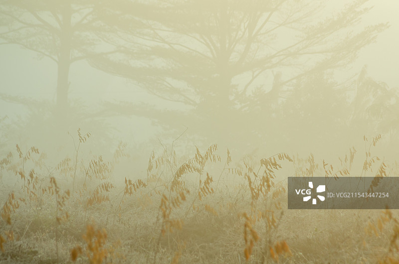 山间晨雾图片素材