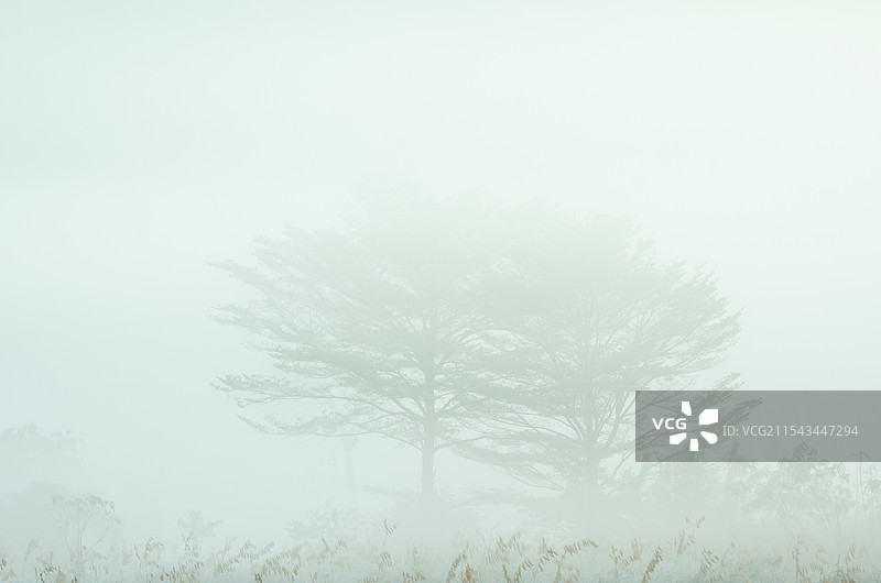 山间晨雾图片素材