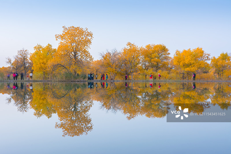 金塔胡杨林倒影图片素材
