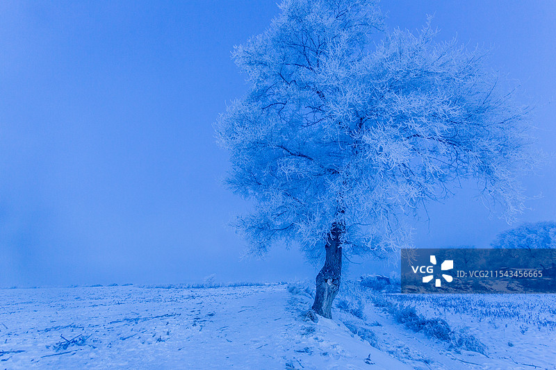 吉林市龙潭区美不胜收的自然奇观——雾凇图片素材