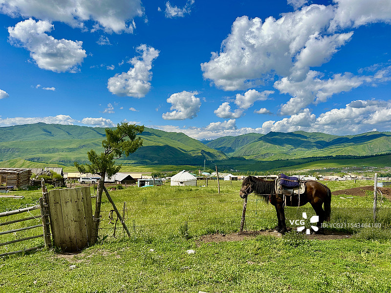 中国西北极村白哈巴图片素材