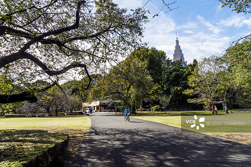 新宿御园的那份宁静图片素材