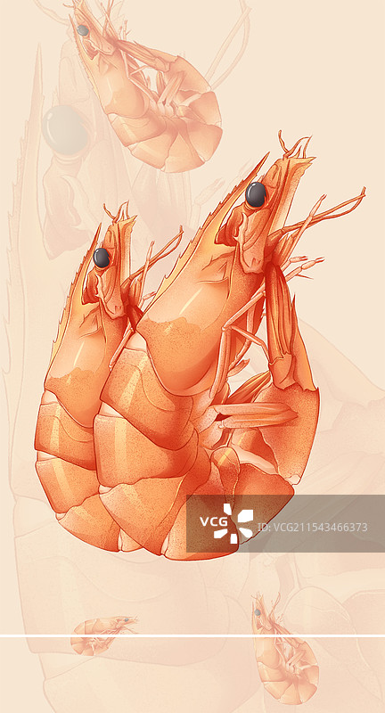 虾条鲜虾插画图片素材