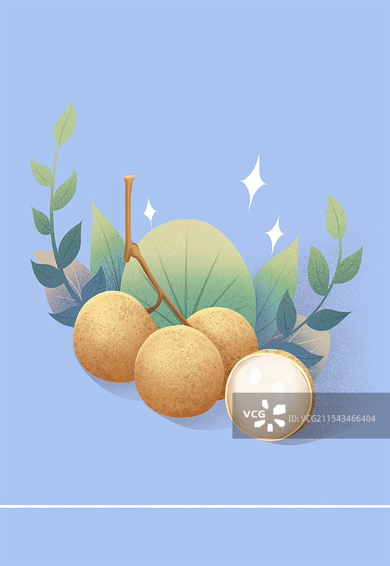 桂圆水果插画图片素材