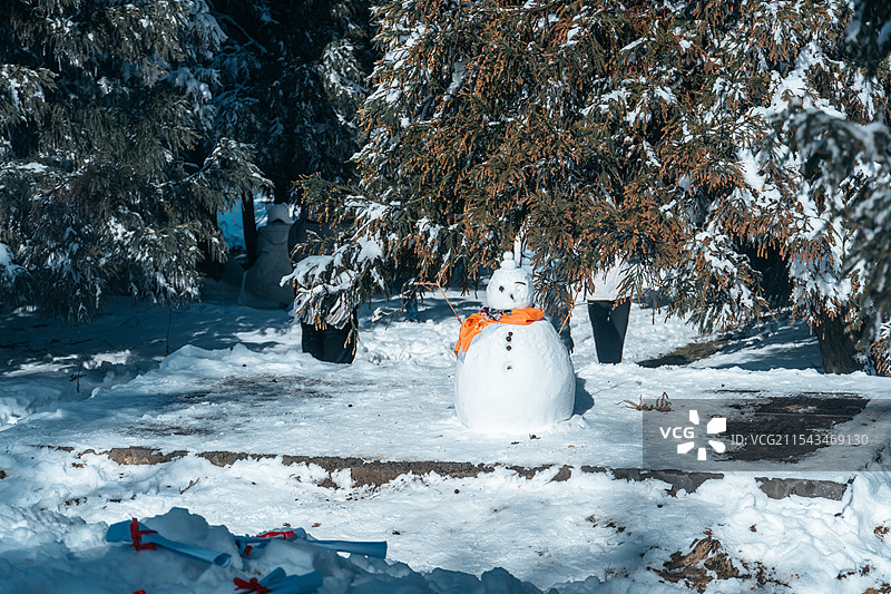 仙女山树林里的小雪人图片素材