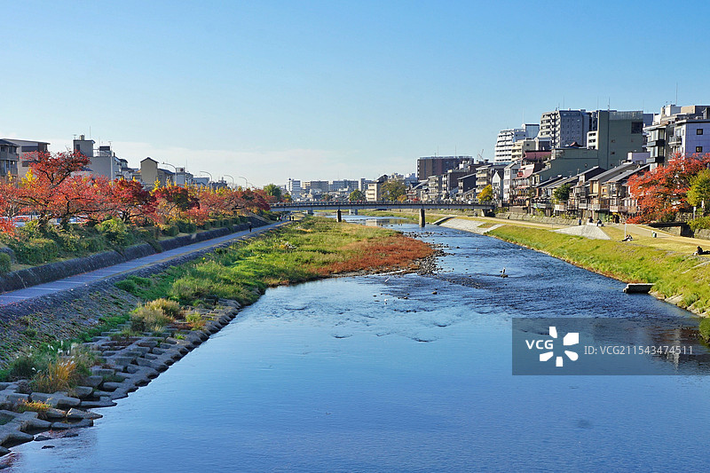 日本京都，秋天的鸭川图片素材