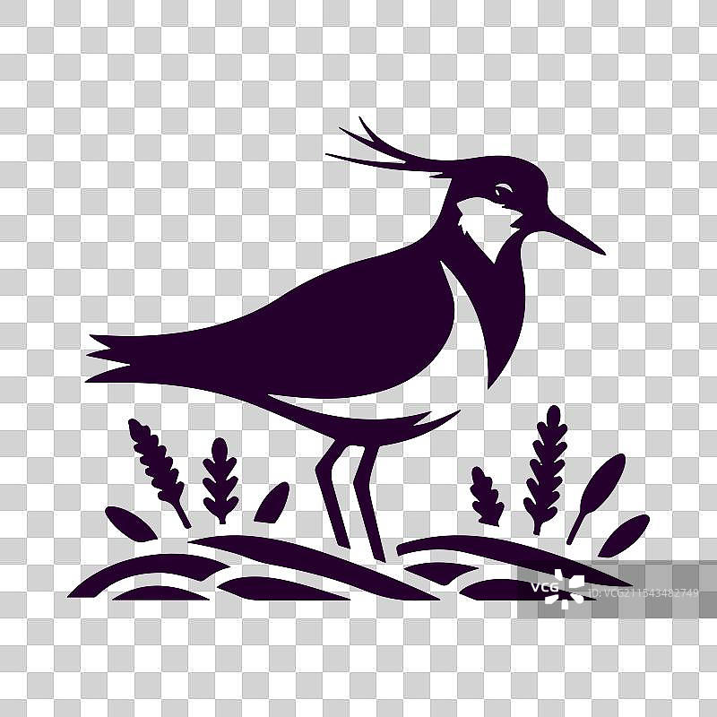 反嘴鹬剪影图片素材