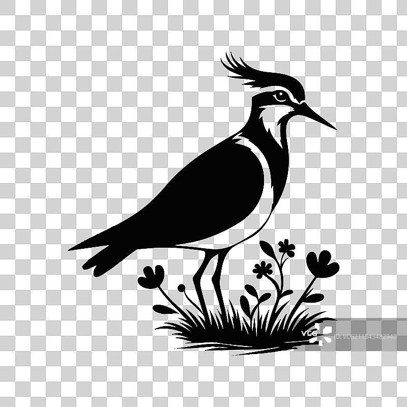 反嘴鹬剪影图片素材