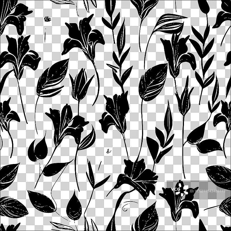 紫菀花图案抽象无缝色彩图片素材