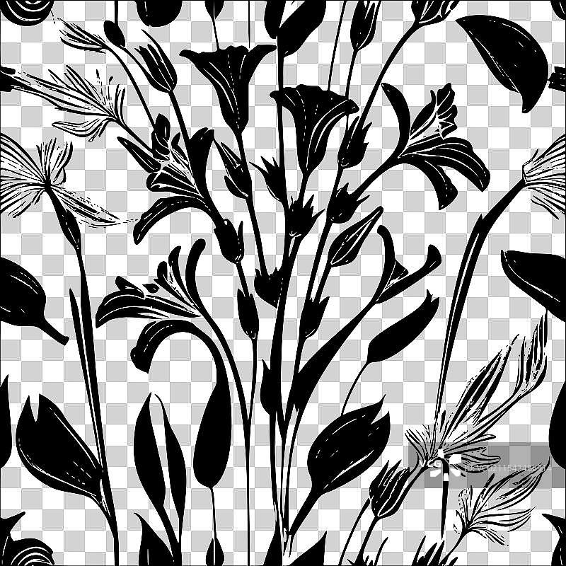 紫菀花图案抽象无缝色彩图片素材