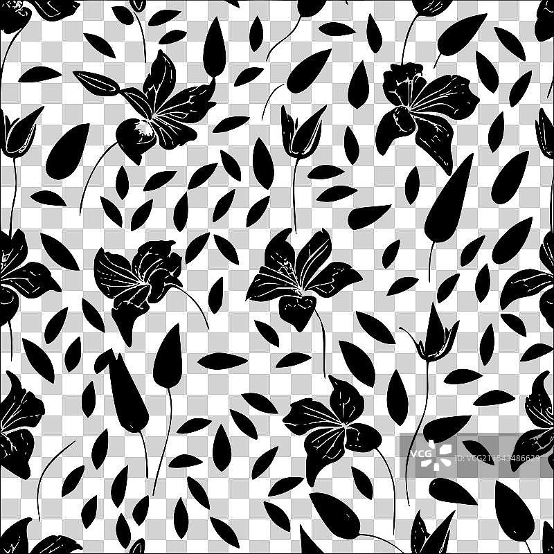 紫菀花图案抽象无缝色彩图片素材