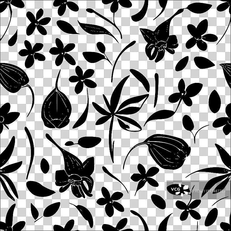 抽象的毛地黄花图案无缝色彩图片素材