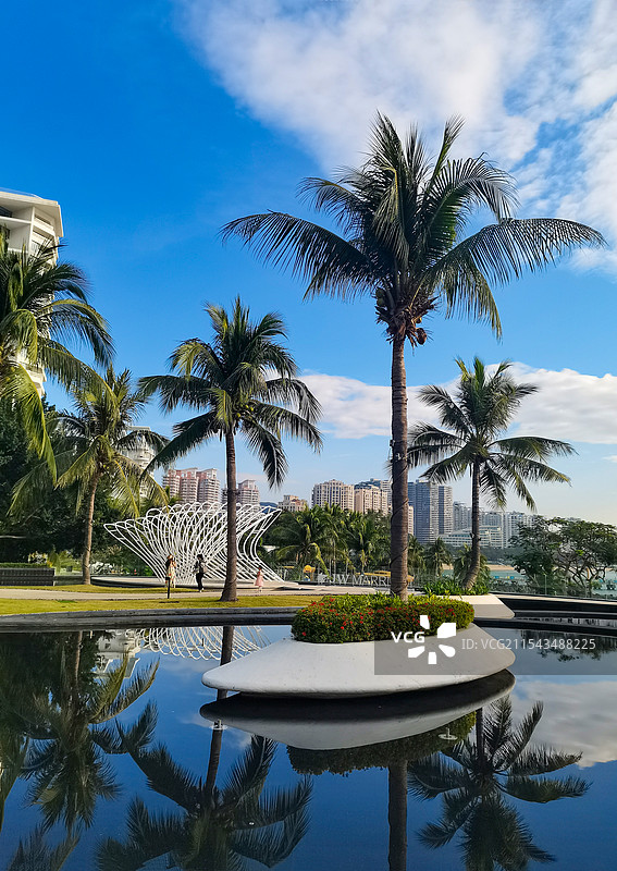 椰树蓝天图片素材