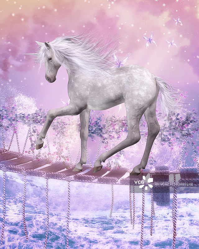 白马黑马骏马图片素材