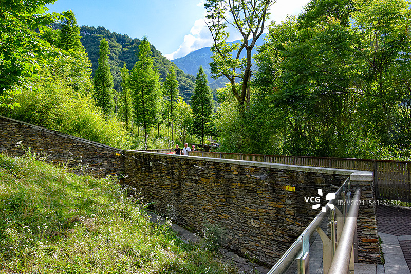四川阿坝耿达镇卧龙中华大熊猫苑神树坪基地照片图片素材
