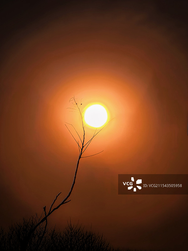 夕阳无限美图片素材