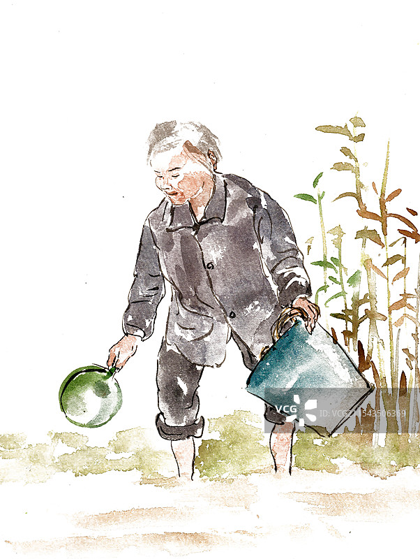 浇菜园的老人图片素材