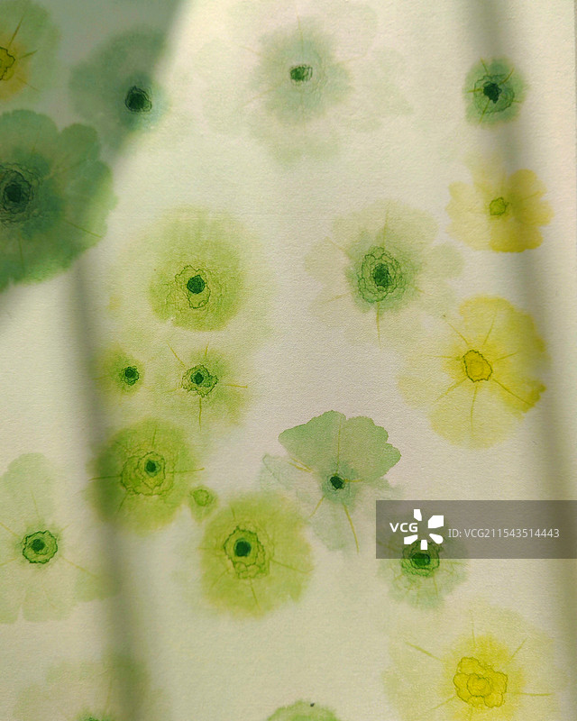 绿色纹理，治愈系小花图片素材