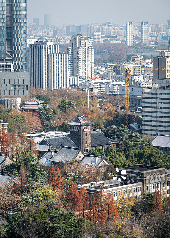 雪后初晴的南京大学冬景图片素材