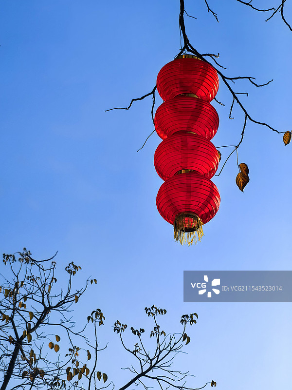 大红灯笼高高挂图片素材