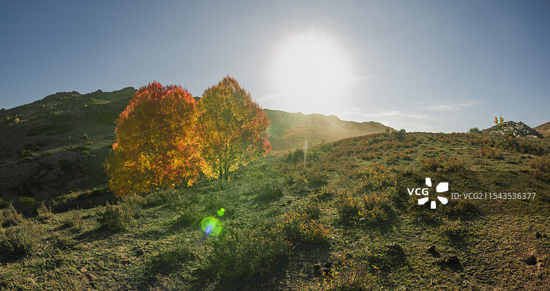 绚丽多彩可可托海红叶沟（新疆富蕴县）图片素材