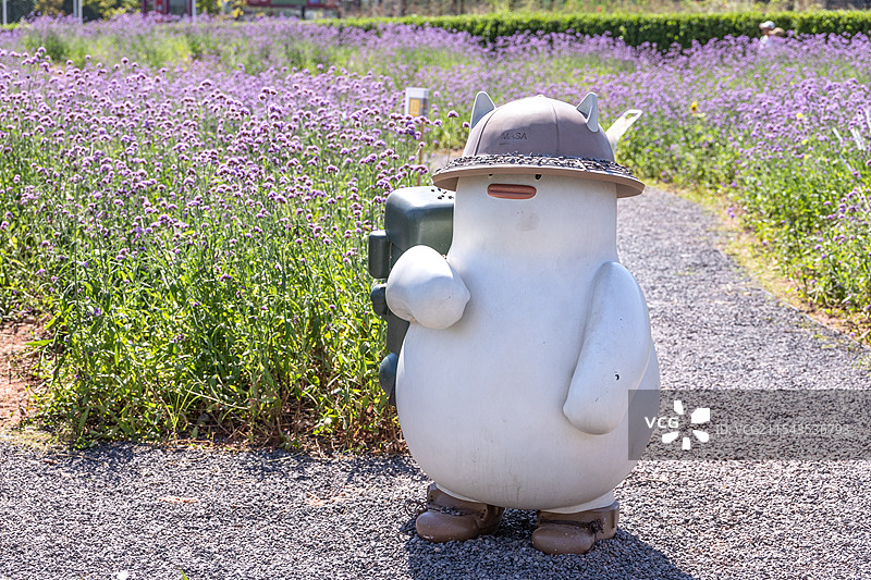 白色卡通鸭子和紫色马鞭草花海图片素材