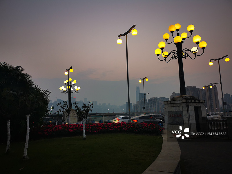 老狸花图片素材