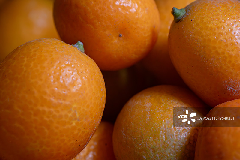 饱满多汁的金橘图片素材
