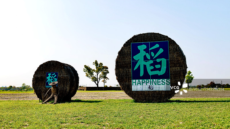 蓝天白云下的上海嘉北郊野公园田园风光稻田稻草人图片素材