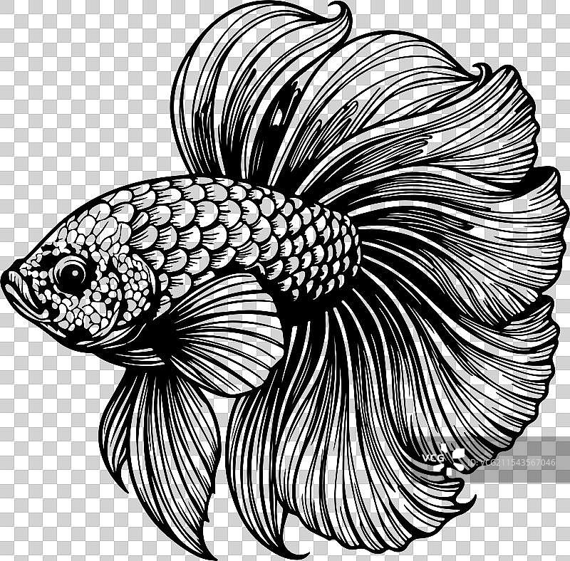 斗鱼涂色书页面设计图片素材