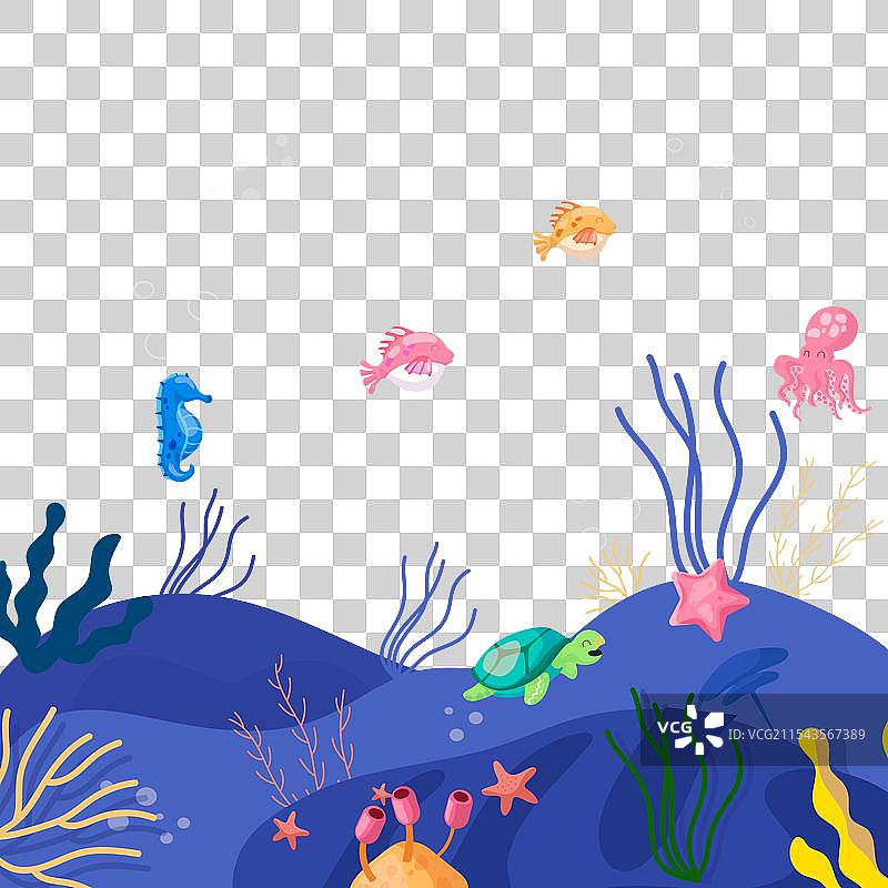 五彩斑斓的水下世界居民图片素材