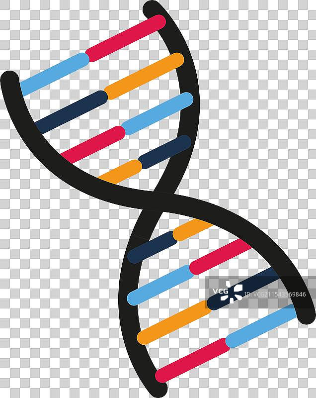 卡通风格的DNA链图标基因图标图片素材