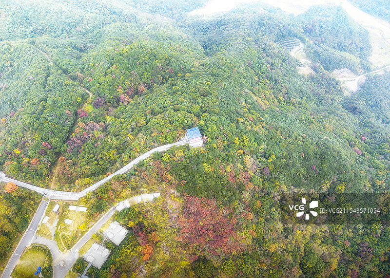 宁波黄贤森林公园图片素材