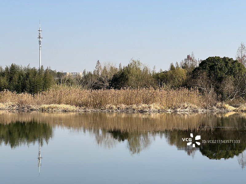 上海浦东金海湿地公园图片素材