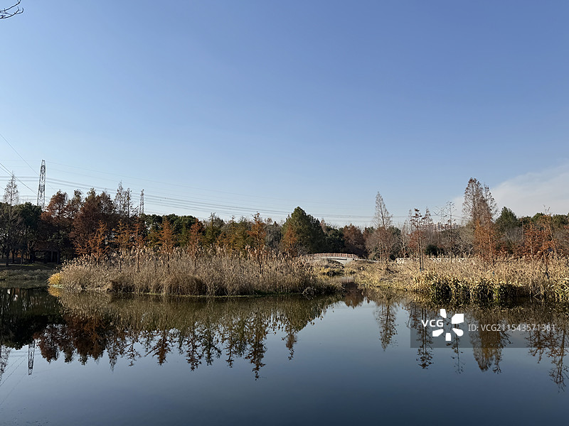 上海浦东金海湿地公园图片素材