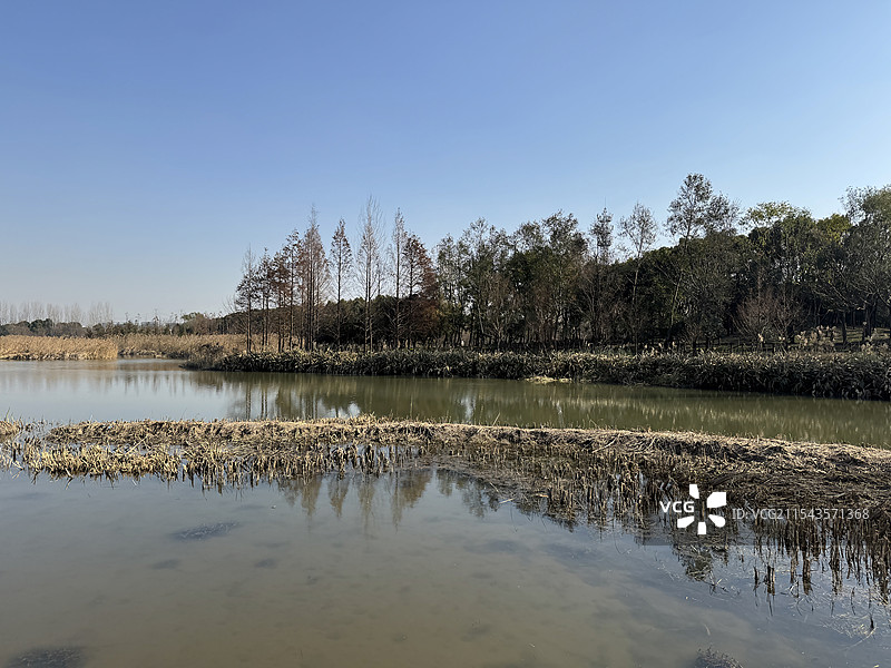 上海浦东金海湿地公园图片素材