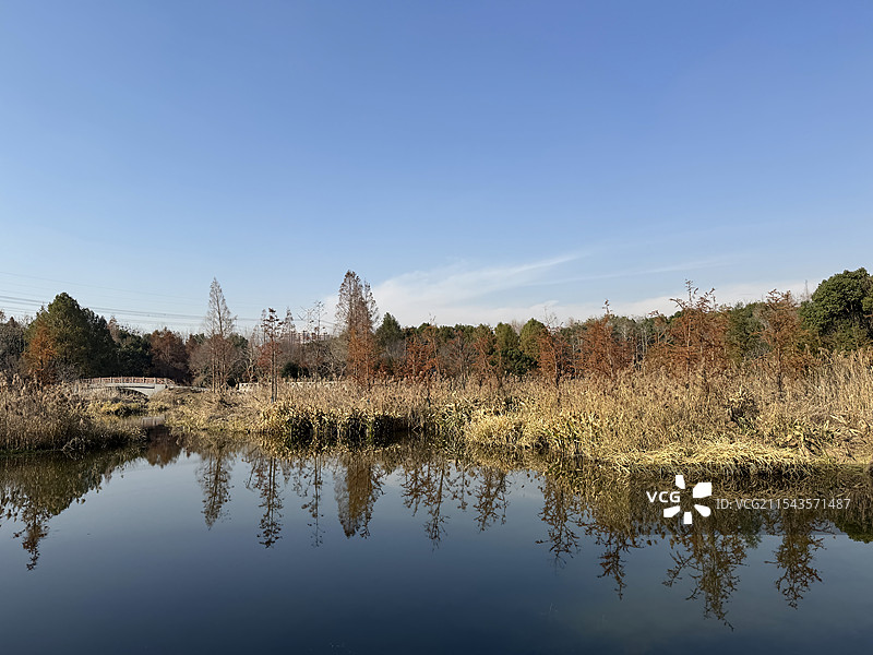 上海浦东金海湿地公园图片素材