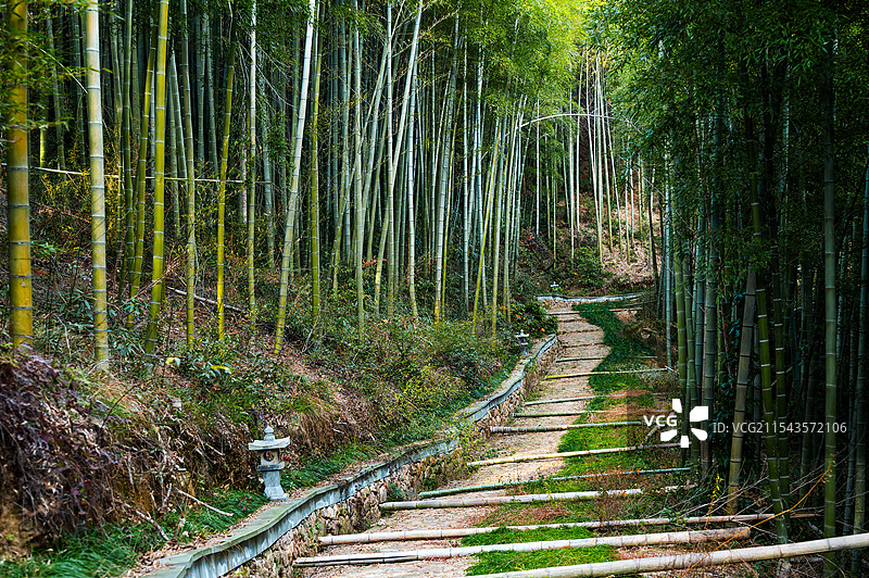 杭州径山古道图片素材