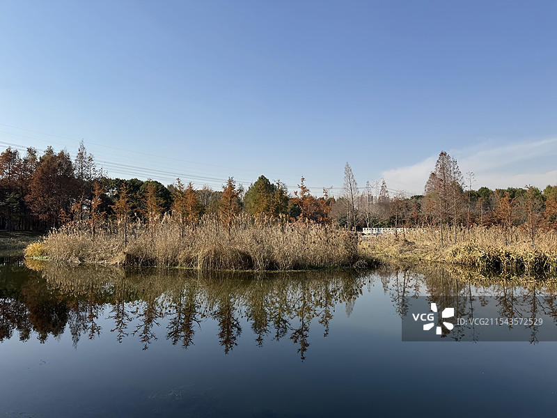 上海浦东金海湿地公园图片素材