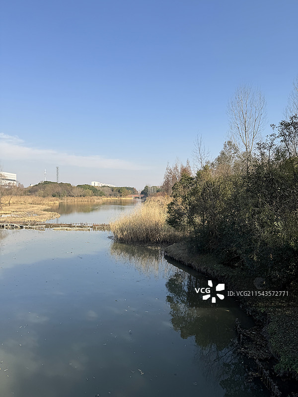 上海浦东金海湿地公园图片素材