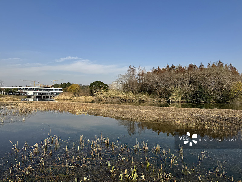 上海浦东金海湿地公园图片素材
