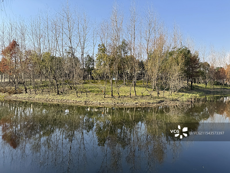 上海浦东金海湿地公园图片素材